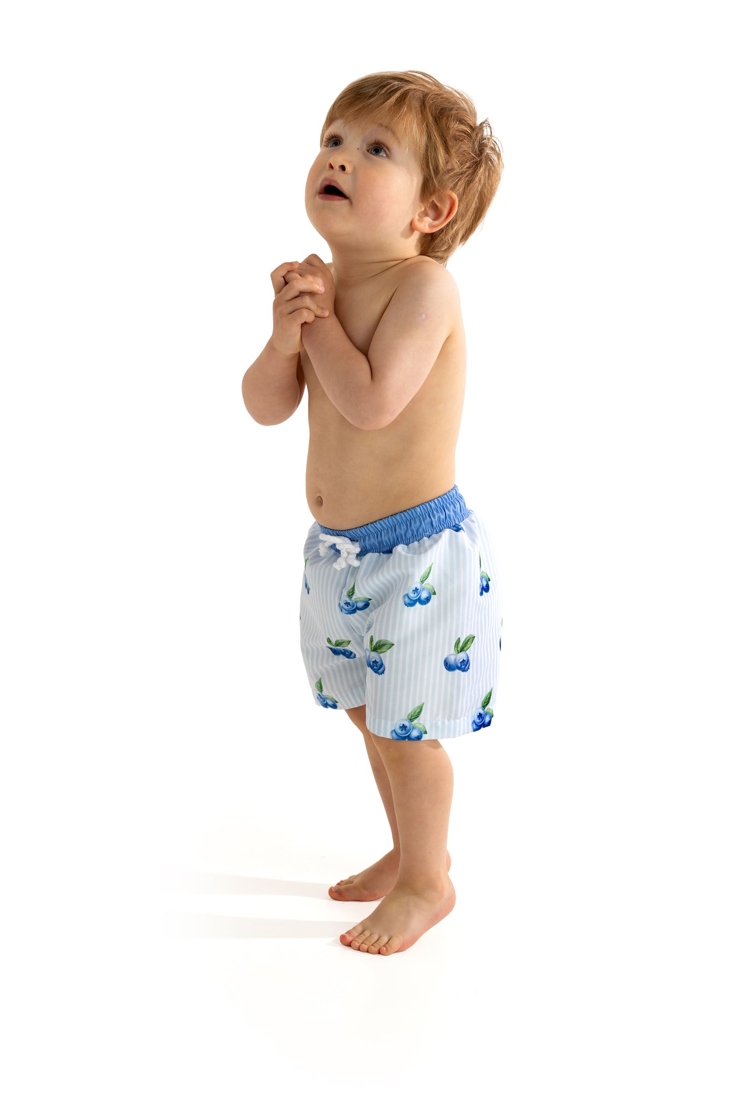 Blueberries Swim Shorts